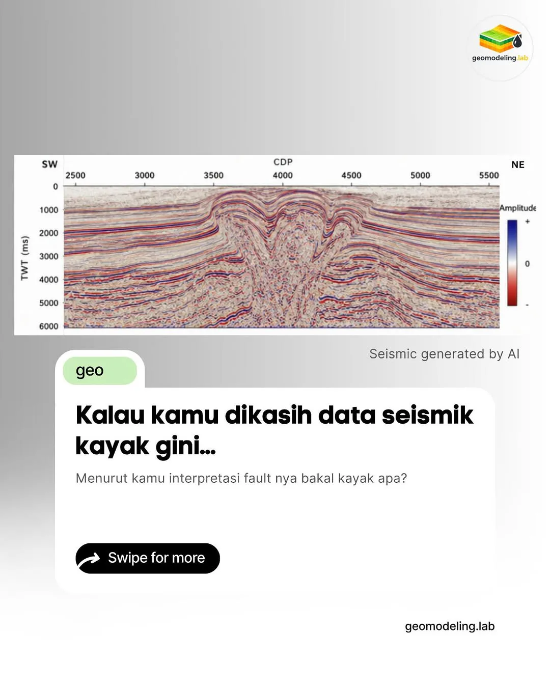 Data seismik dengan penampang refleksi